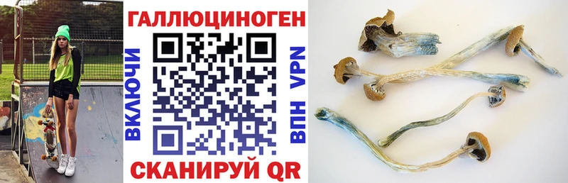 Галлюциногенные грибы прущие грибы  маркетплейс как зайти  Гусь-Хрустальный 